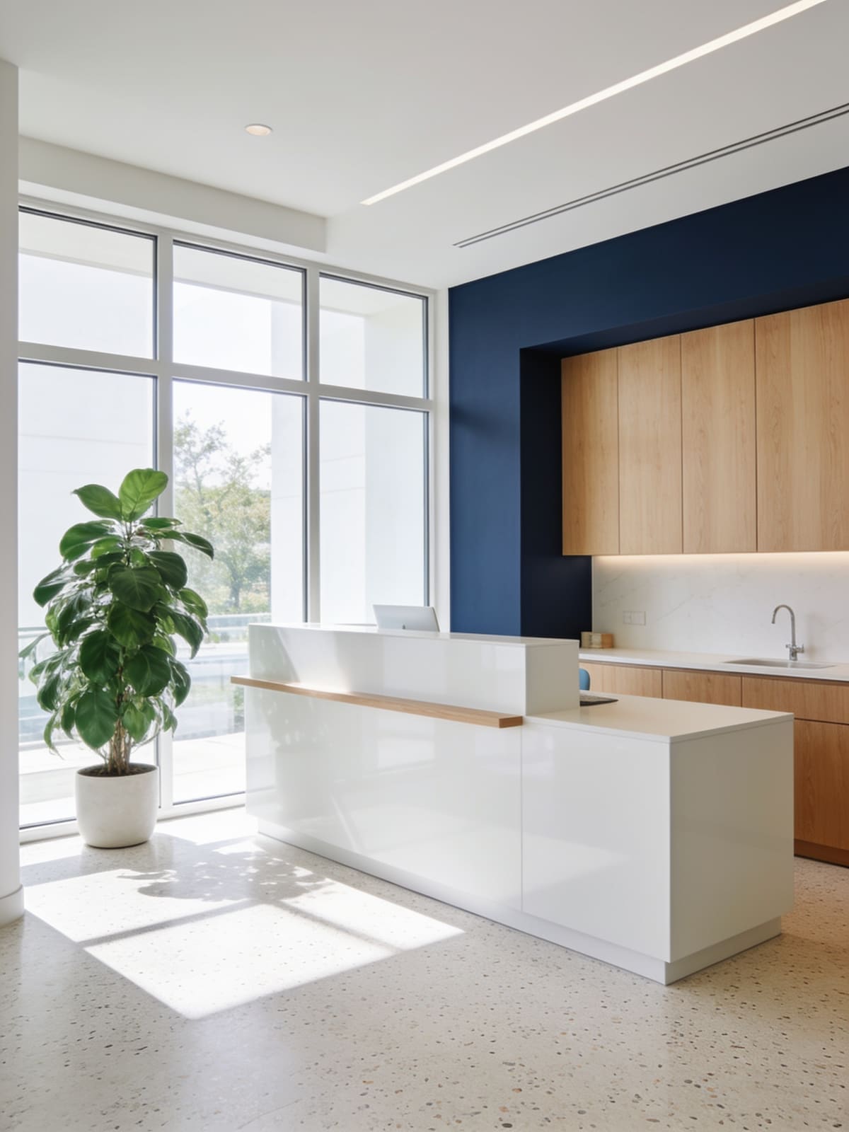 Recepción luminosa de la clínica dental con luz natural